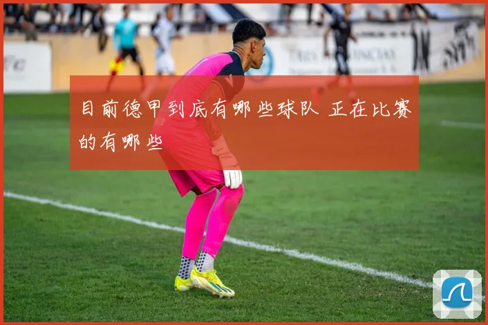 目前德甲到底有哪些球队 正在比赛的有哪些