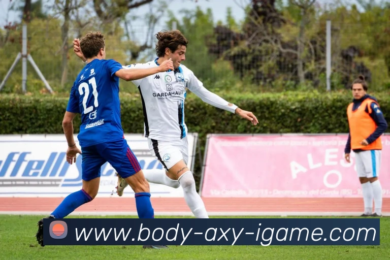 爱游戏平台生态图